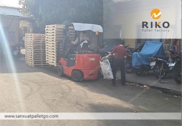 Pallet Gỗ Đố Khuyết 1220 x 1020mm Xuất Khẩu Đồ Gia Dụng